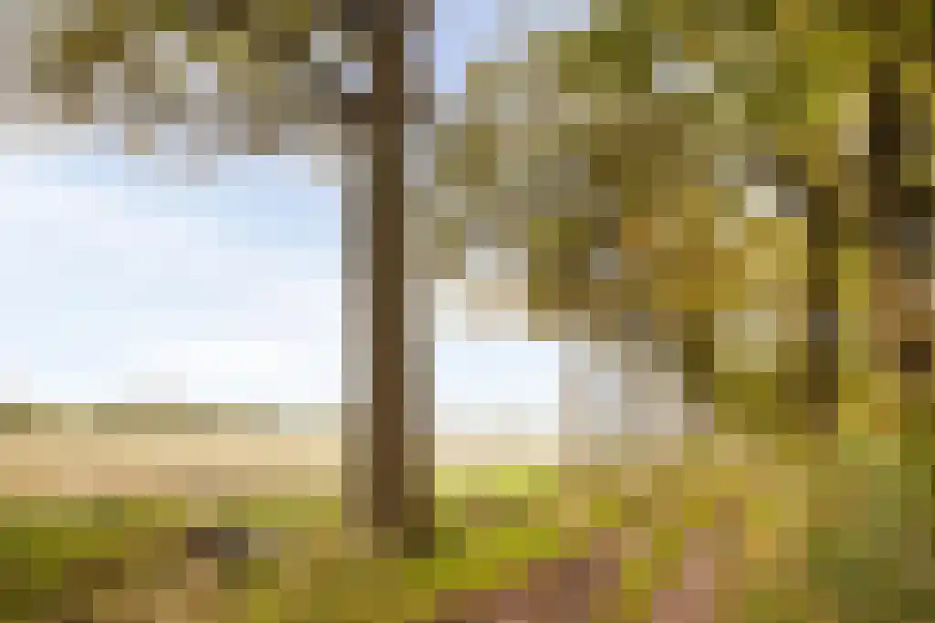 Rogge 14 Mierlo thumbnail 34