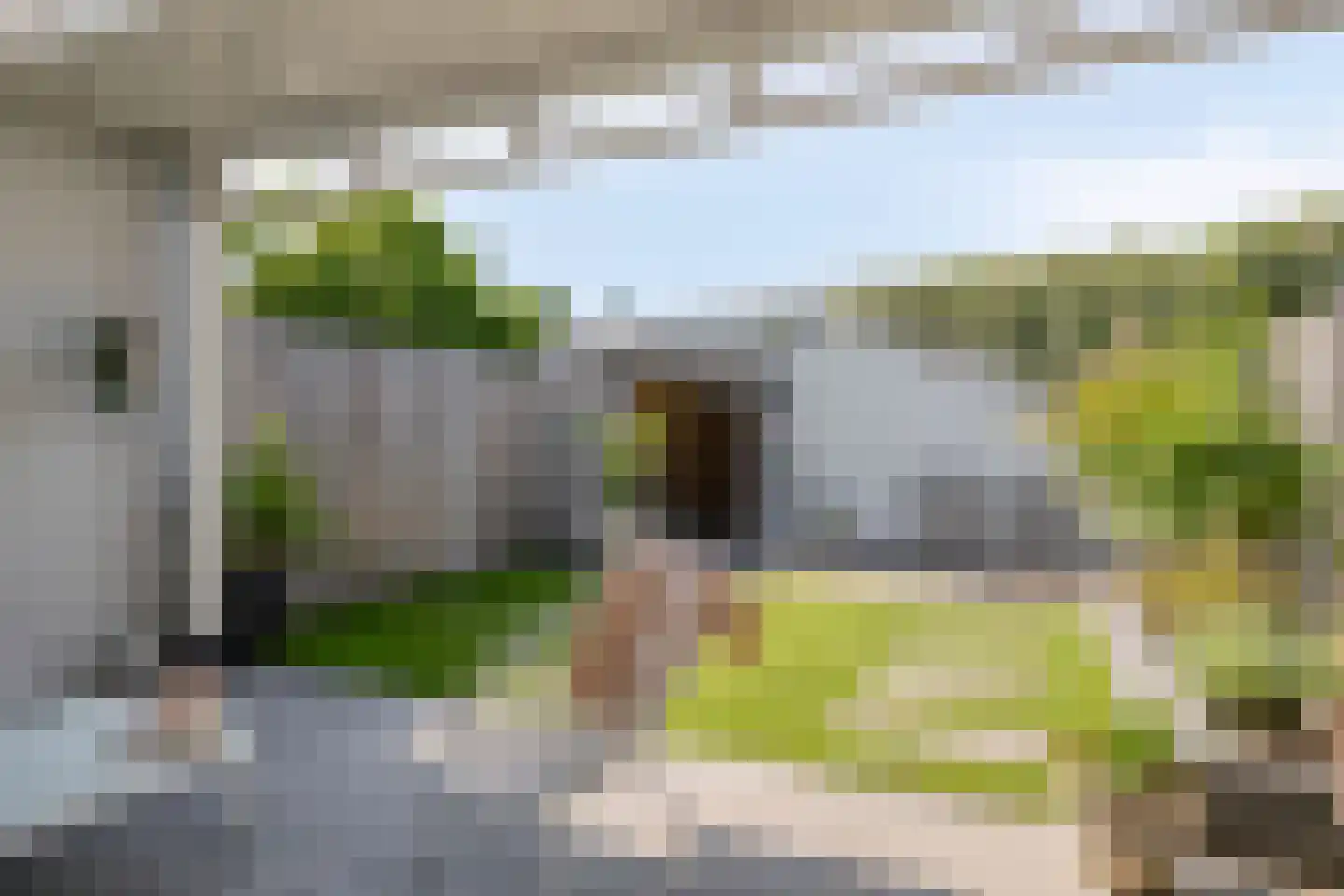 Rogge 14 Mierlo thumbnail 4