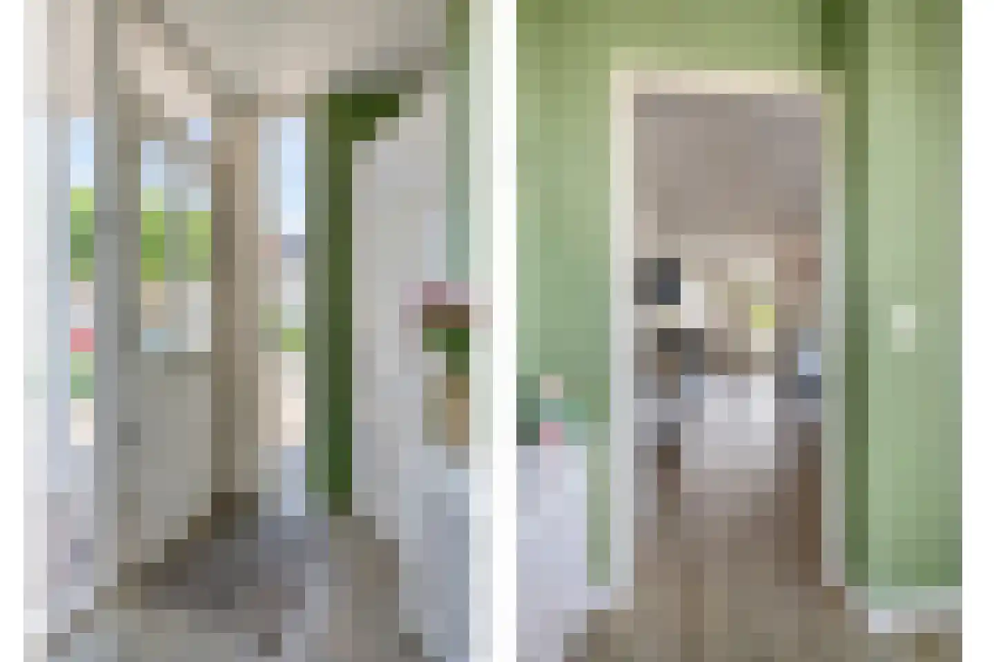 Rogge 14 Mierlo thumbnail 6