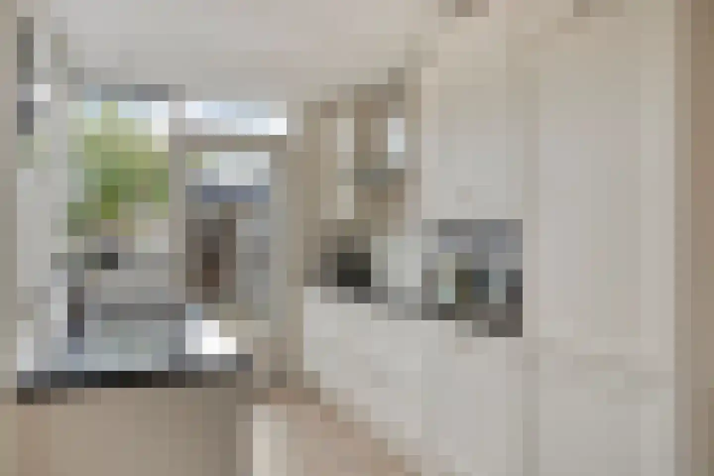Rogge 24 Mierlo thumbnail 10