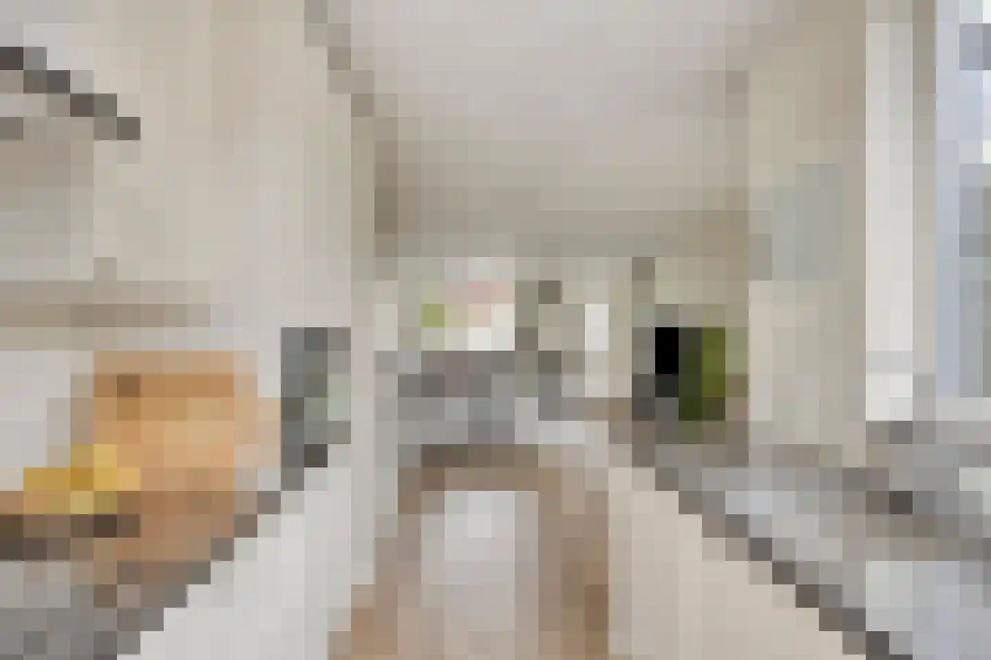 Rogge 24 Mierlo thumbnail 11