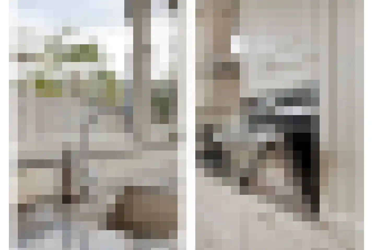 Rogge 24 Mierlo thumbnail 13