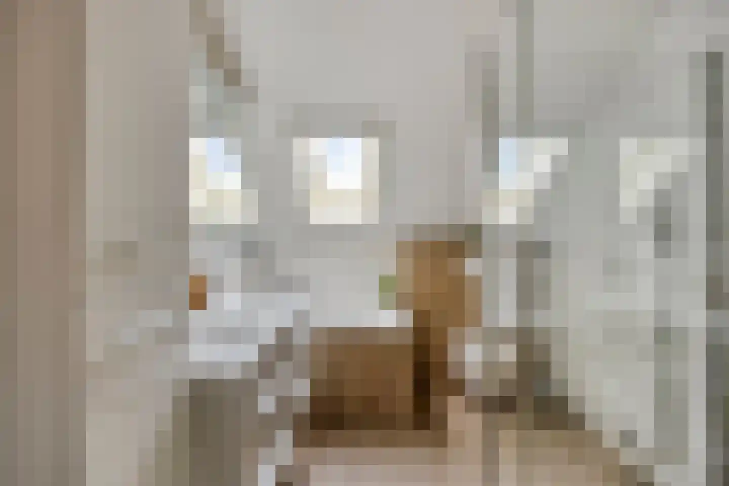 Rogge 24 Mierlo thumbnail 20