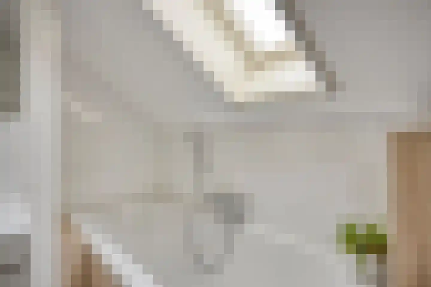Rogge 24 Mierlo thumbnail 21