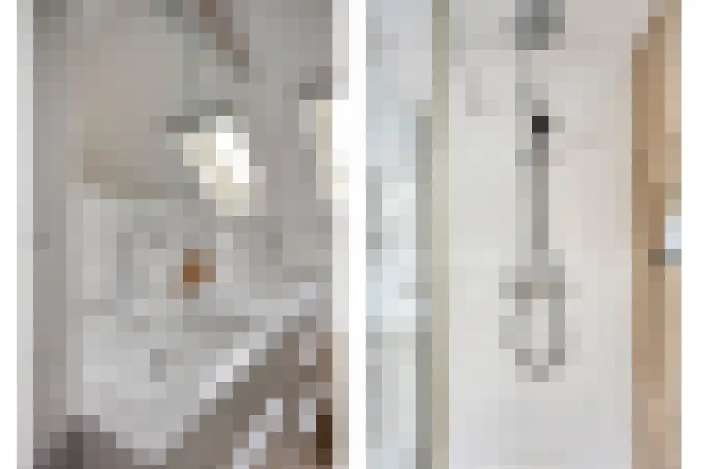 Rogge 24 Mierlo thumbnail 22