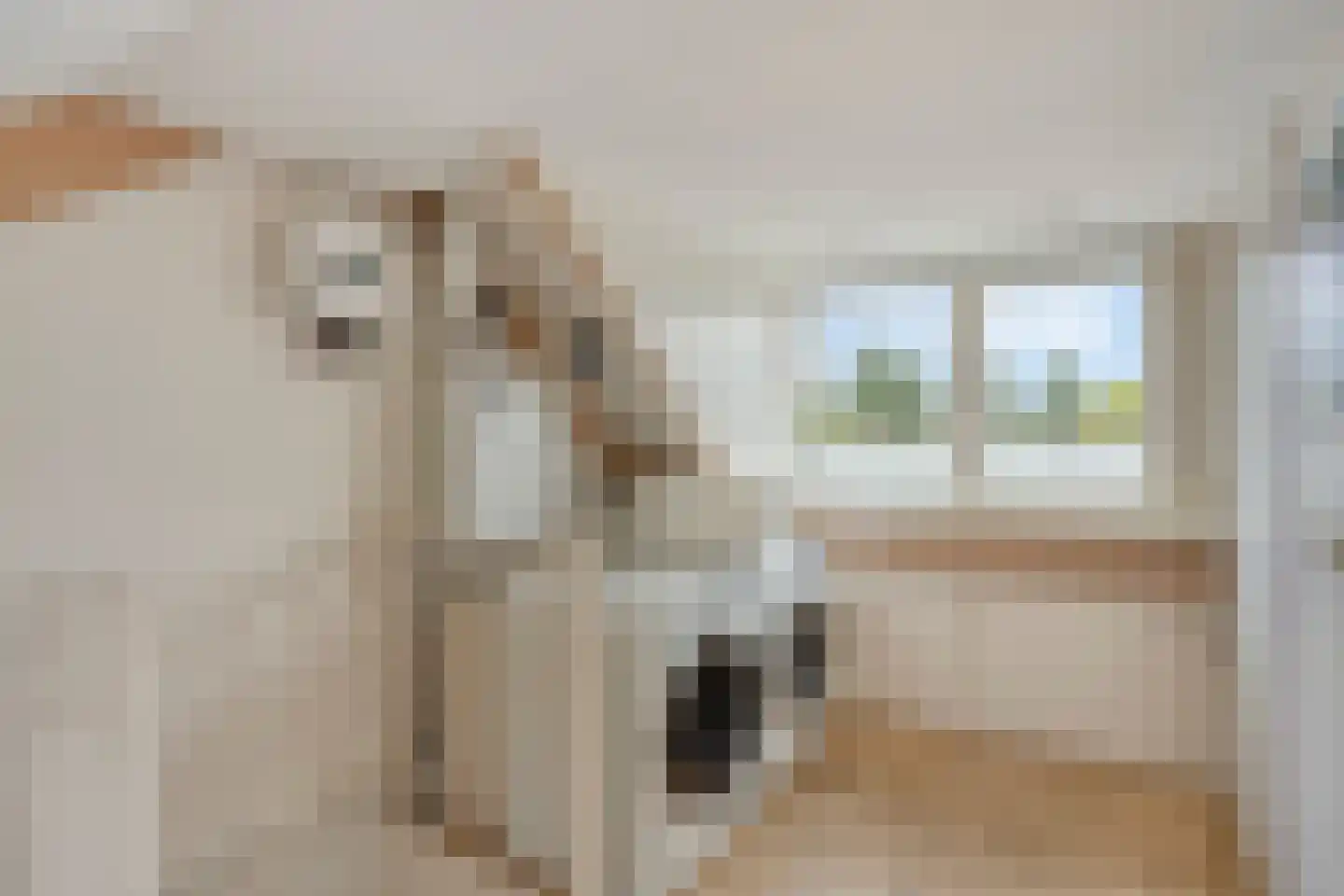 Rogge 24 Mierlo thumbnail 23