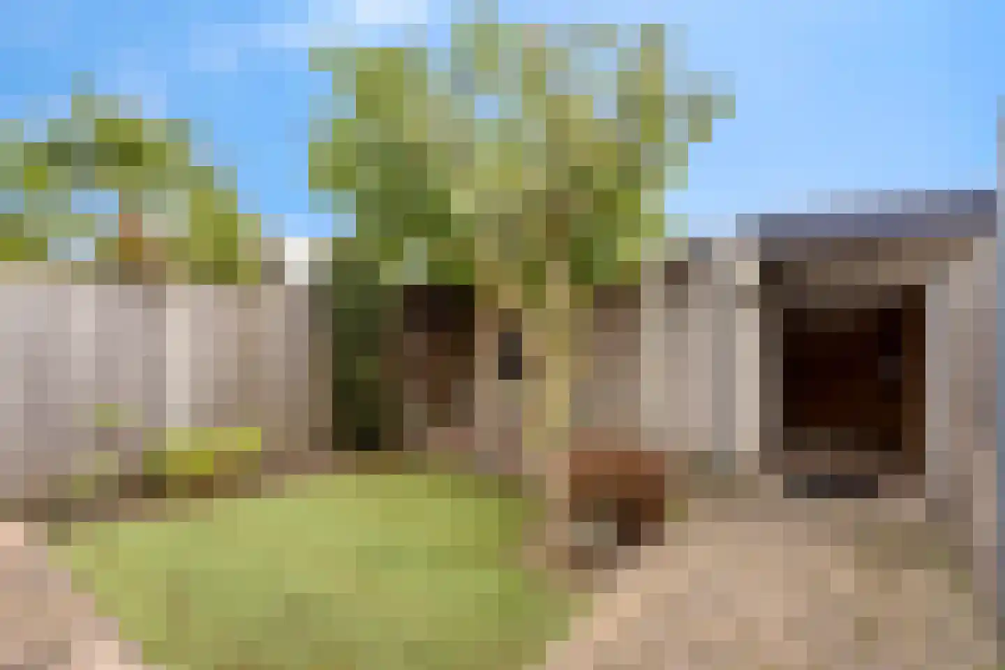 Rogge 24 Mierlo thumbnail 26
