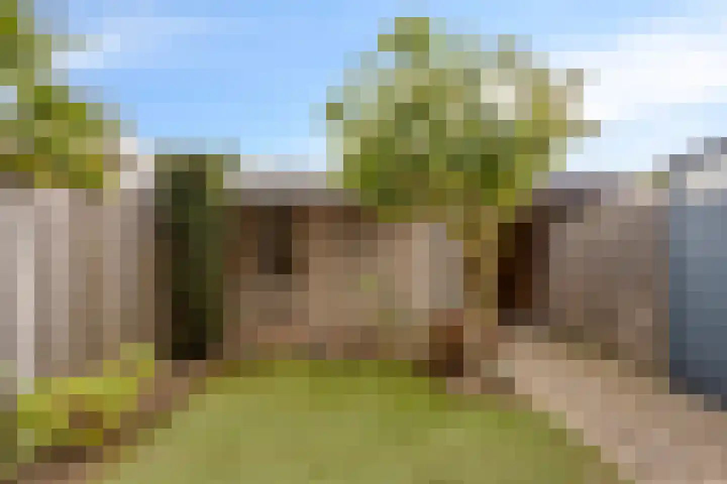 Rogge 24 Mierlo thumbnail 29