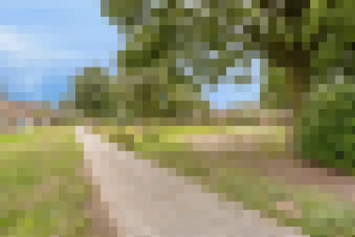 Rogge 24 Mierlo thumbnail 34