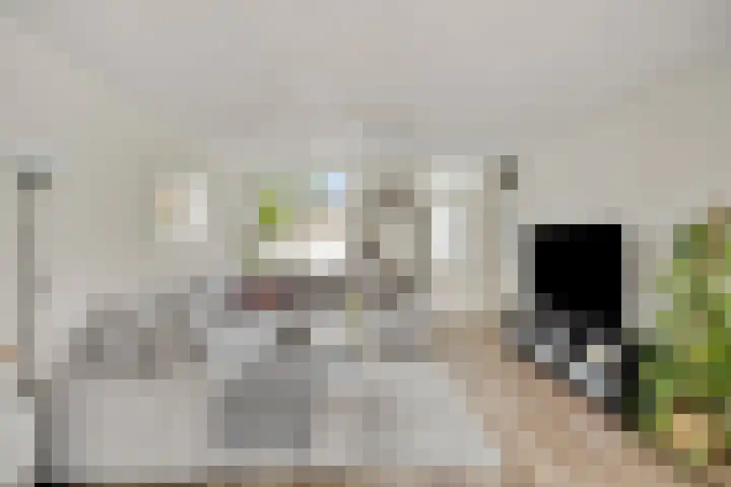 Rogge 24 Mierlo thumbnail 6