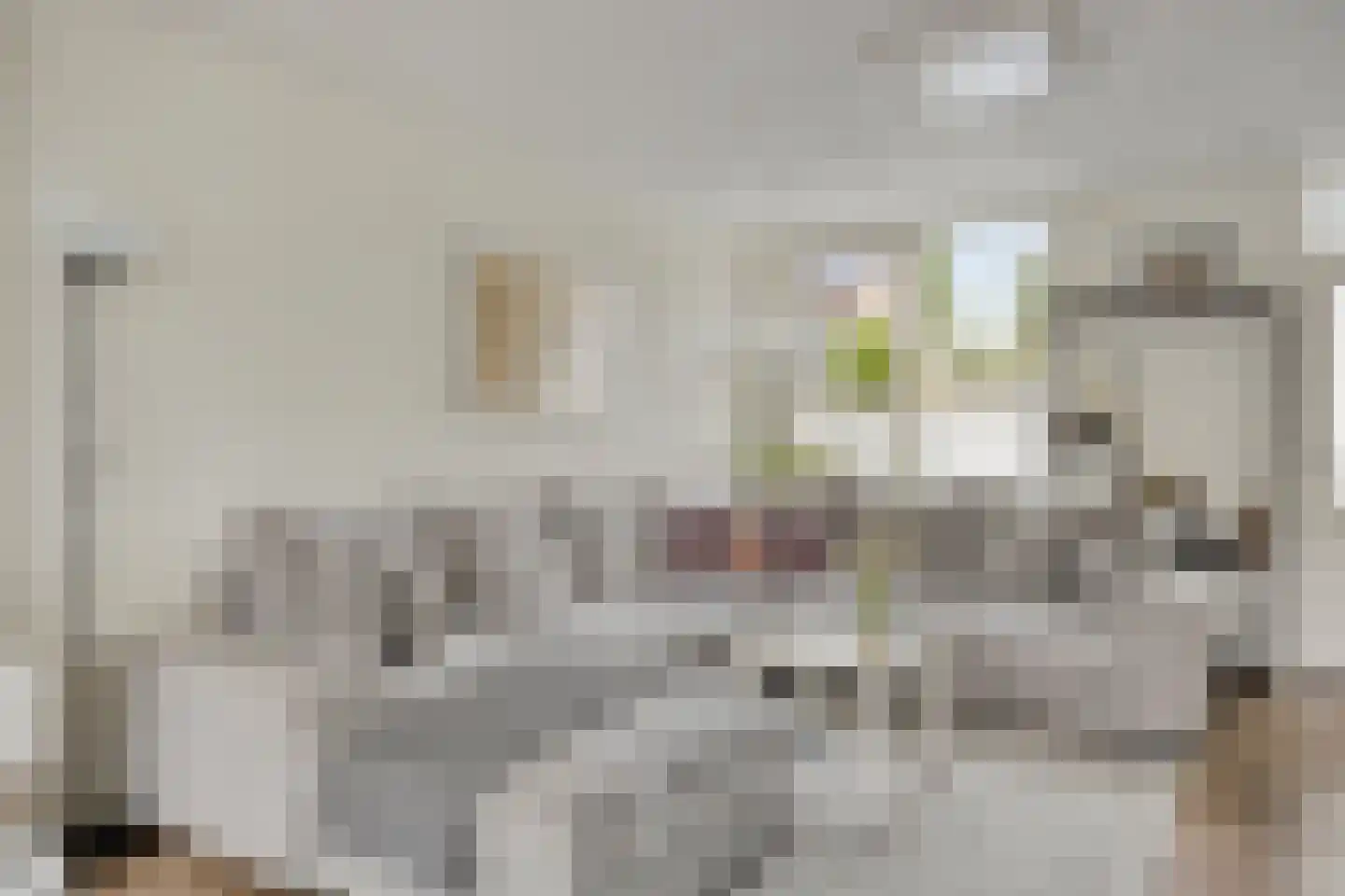Rogge 24 Mierlo thumbnail 7