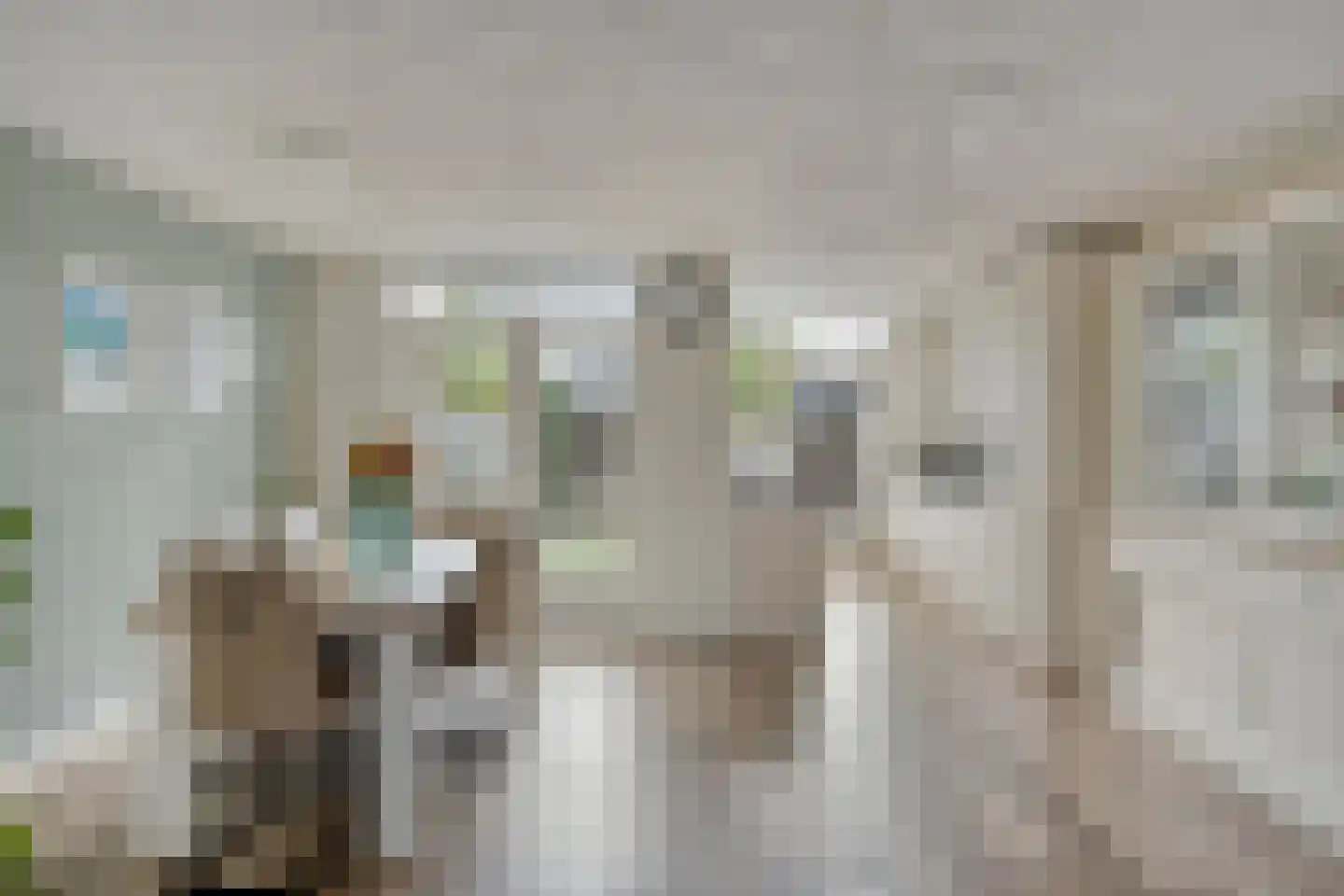 Rogge 24 Mierlo thumbnail 8