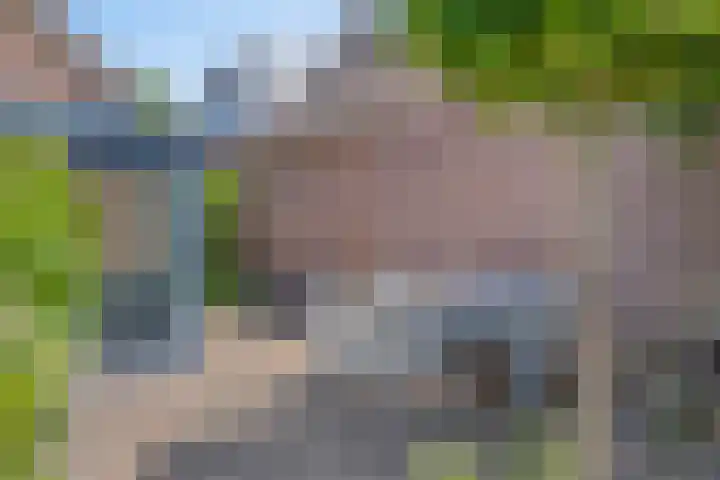 Rogge 38 Malden thumbnail 27