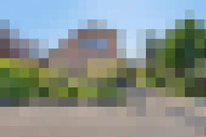 Rogge 38 Malden thumbnail 29