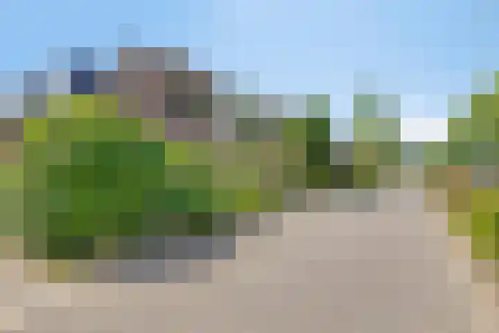 Rogge 38 Malden thumbnail 30