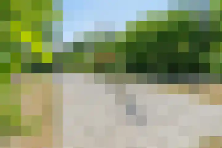 Rogge 38 Malden thumbnail 32