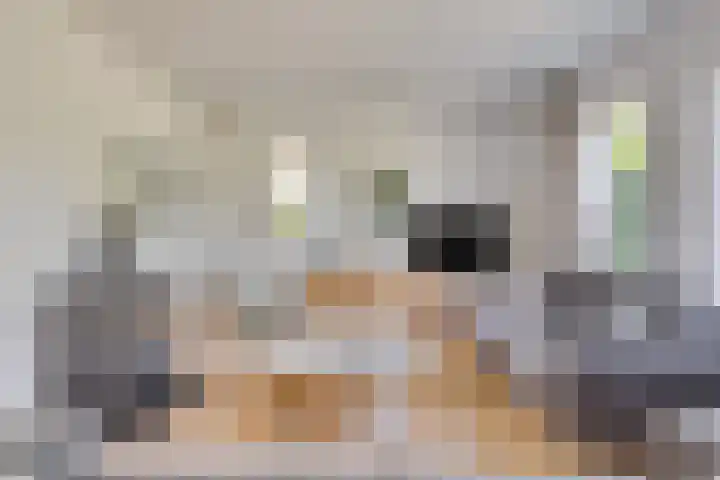 Rogge 38 Malden thumbnail 5