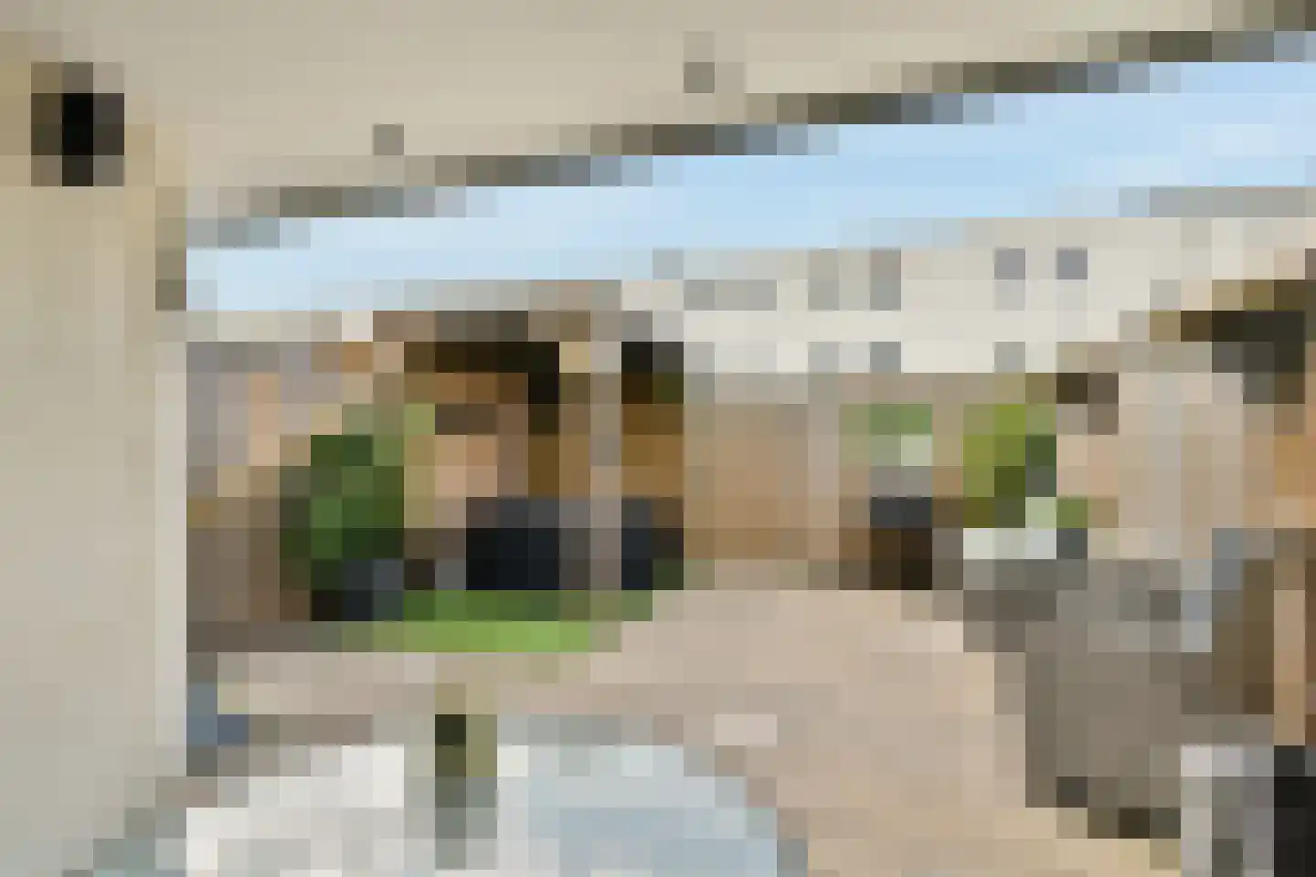 Roggeakker 13 Schiedam thumbnail 24