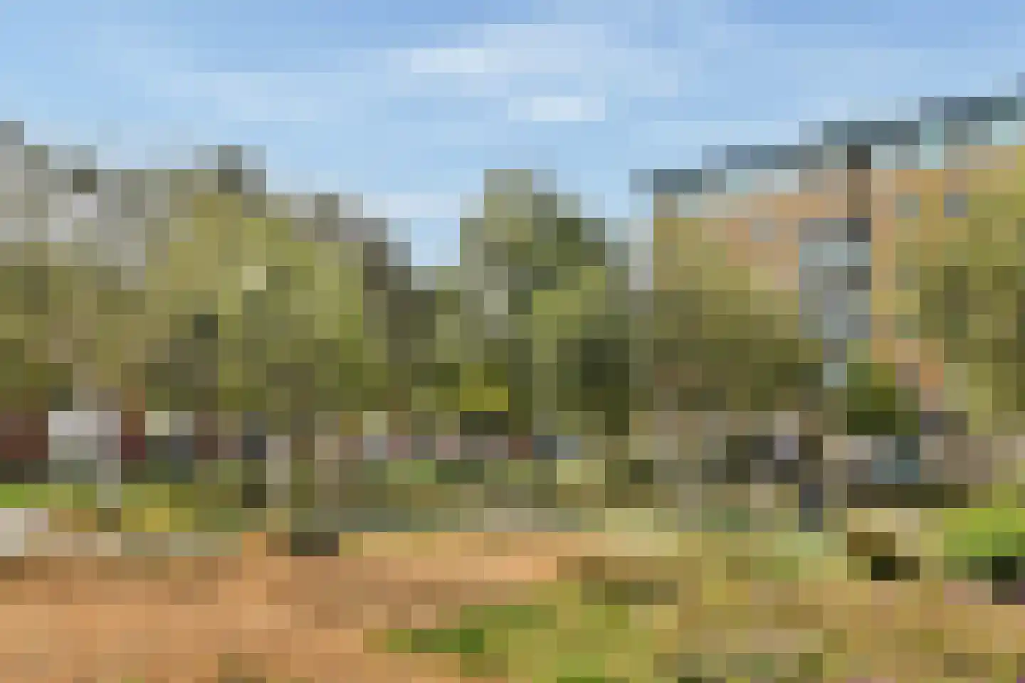 Roggeakker 13 Schiedam thumbnail 28