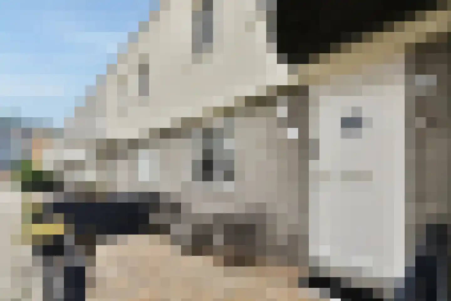 Roggeakker 13 Schiedam thumbnail 5