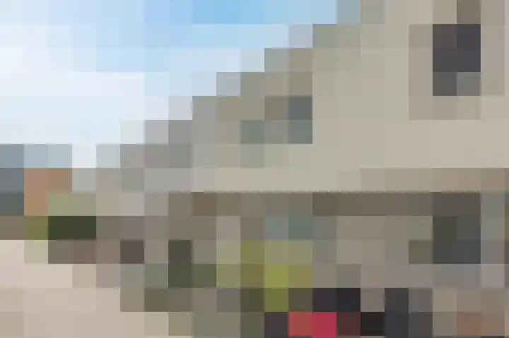 Roggeakker 14 Schiedam thumbnail 34