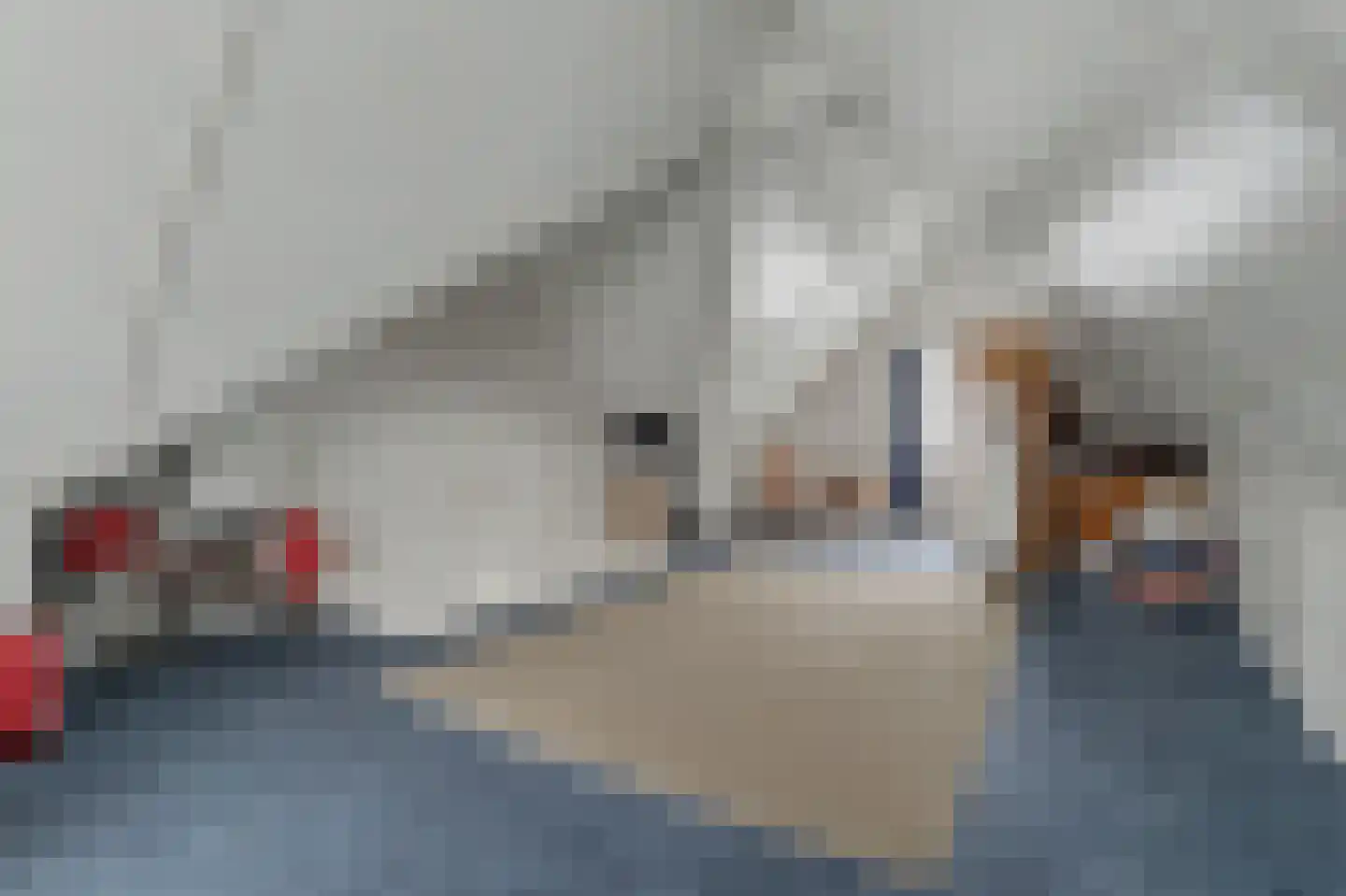 Roggeakker 18 Hilvarenbeek thumbnail 21