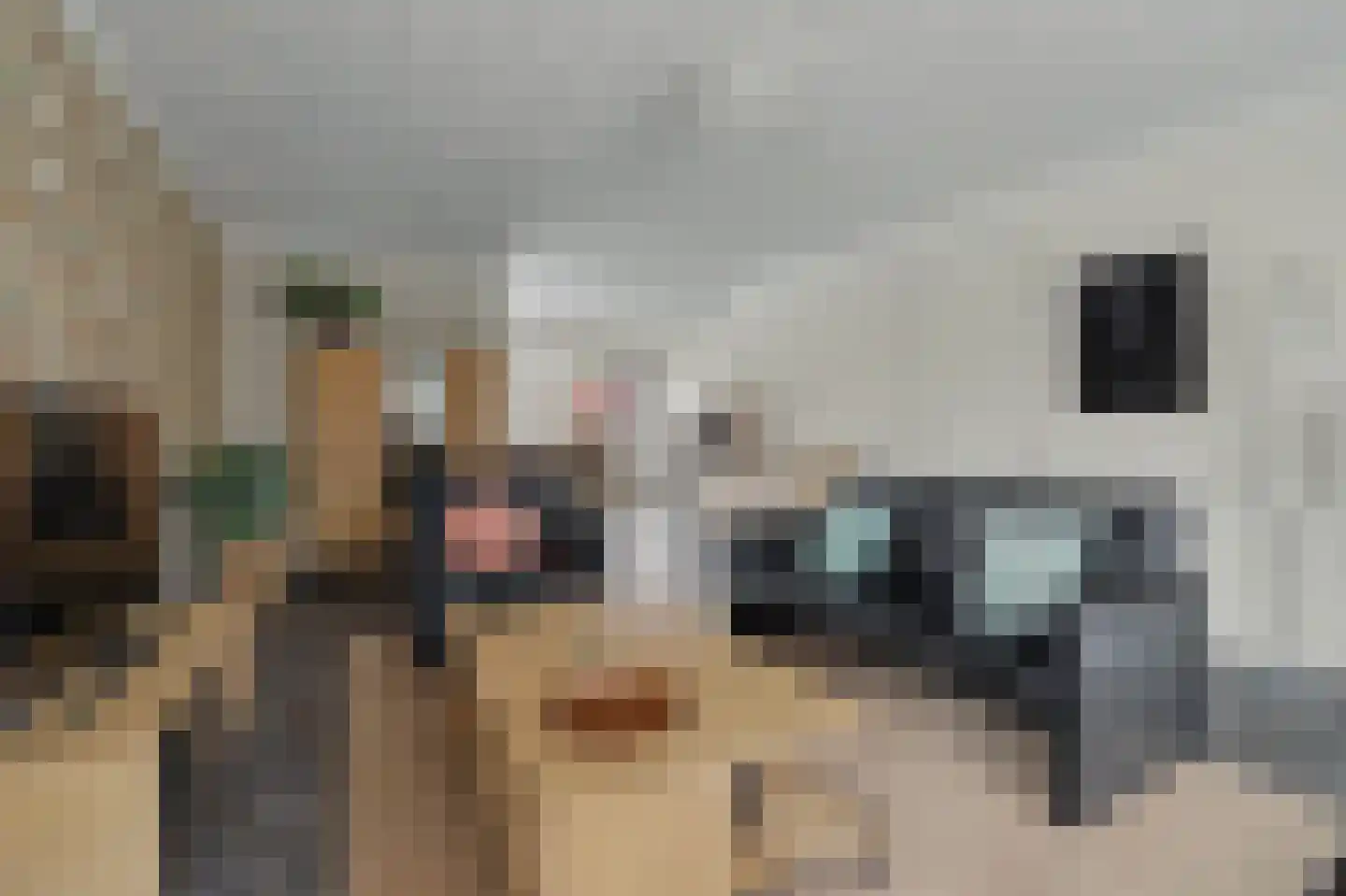 Roggeakker 18 Hilvarenbeek thumbnail 8