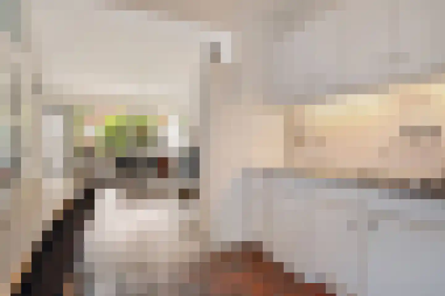 Roggeakker 182 Zoetermeer thumbnail 19