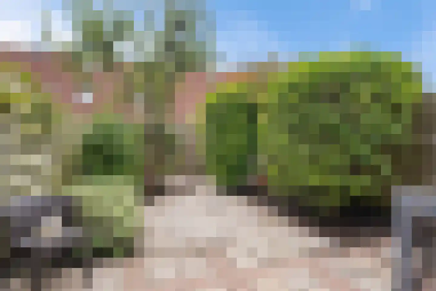 Roggeakker 182 Zoetermeer thumbnail 22