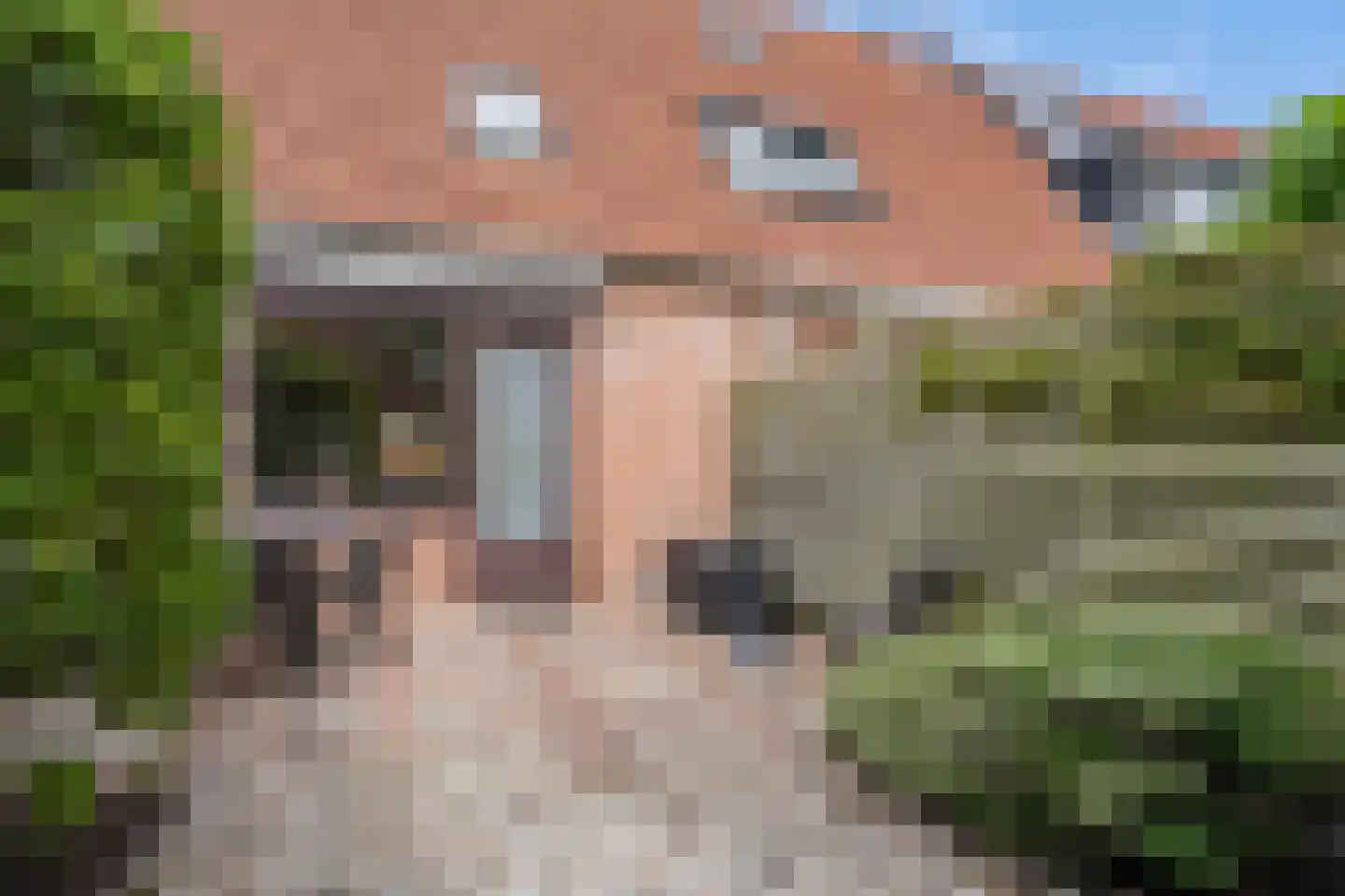 Roggeakker 182 Zoetermeer thumbnail 23