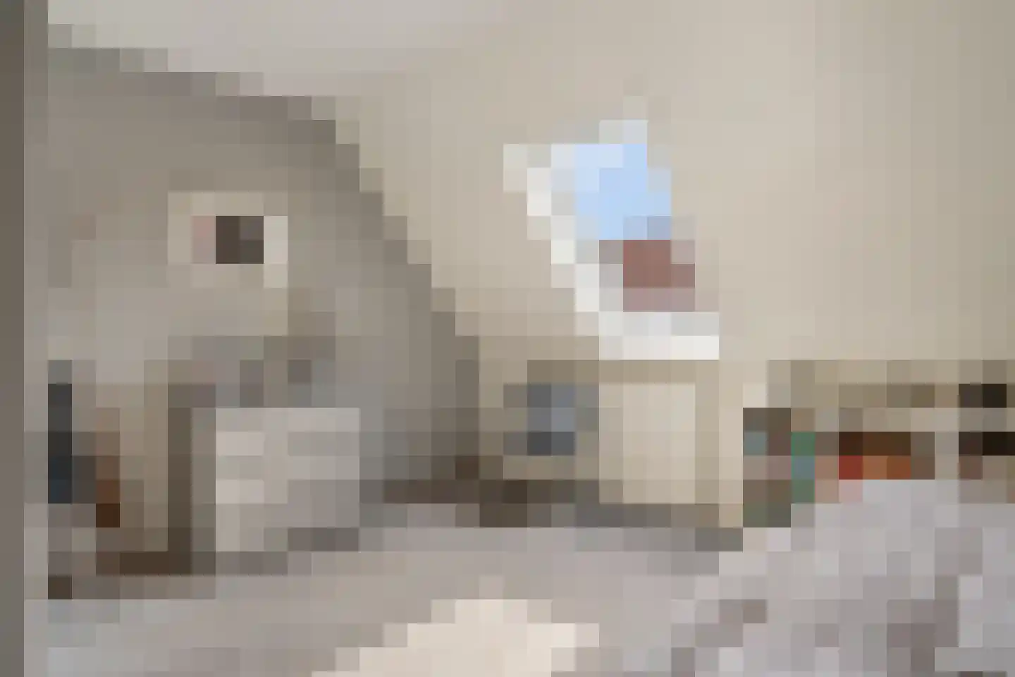 Roggeakker 182 Zoetermeer thumbnail 31