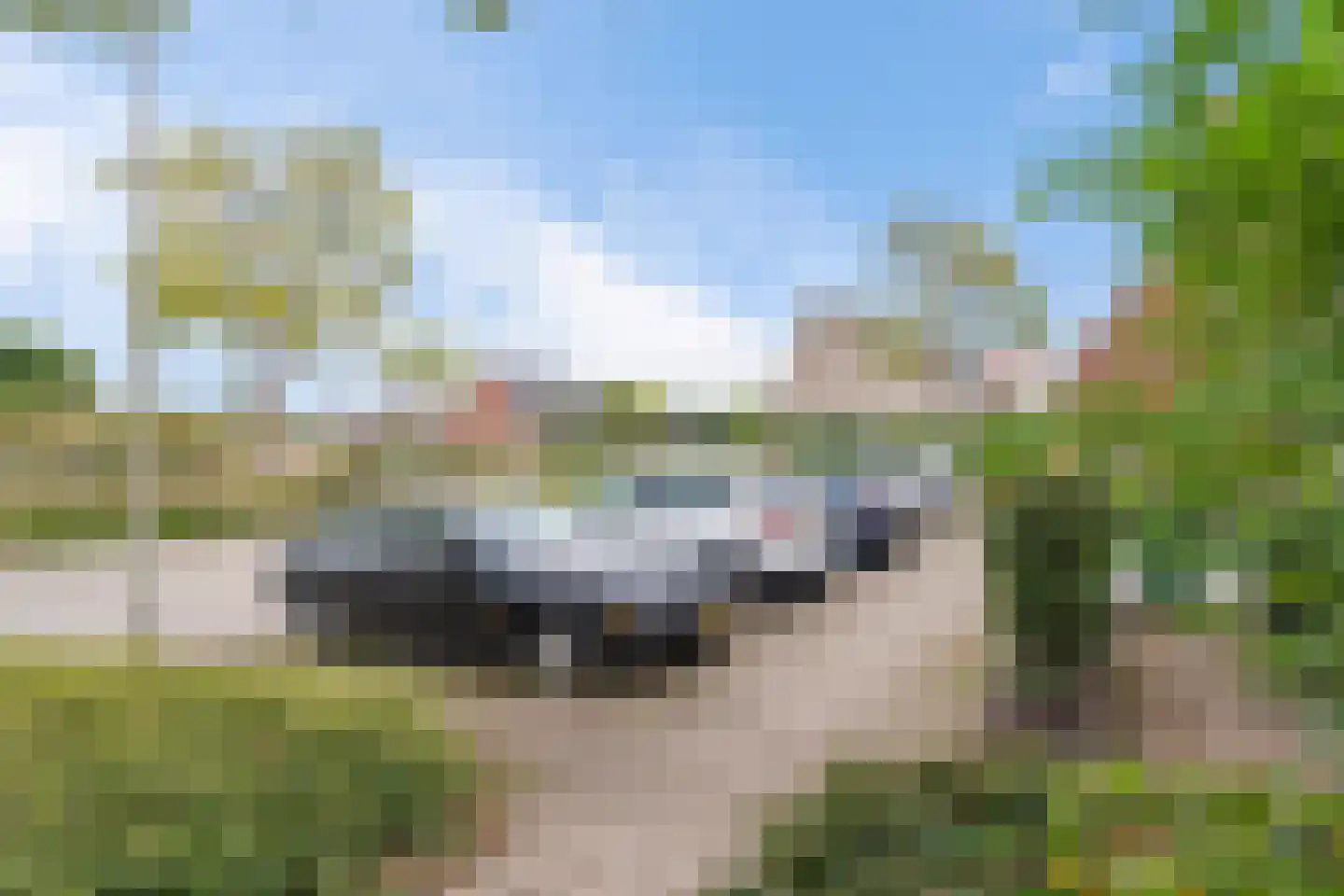 Roggeakker 182 Zoetermeer thumbnail 48