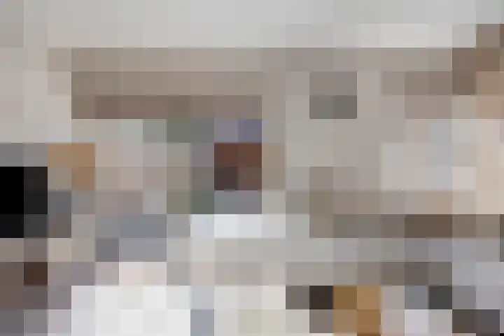 Roggeakker 192 Zoetermeer thumbnail 10