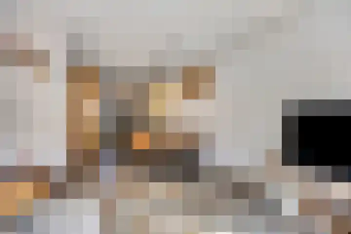 Roggeakker 192 Zoetermeer thumbnail 12