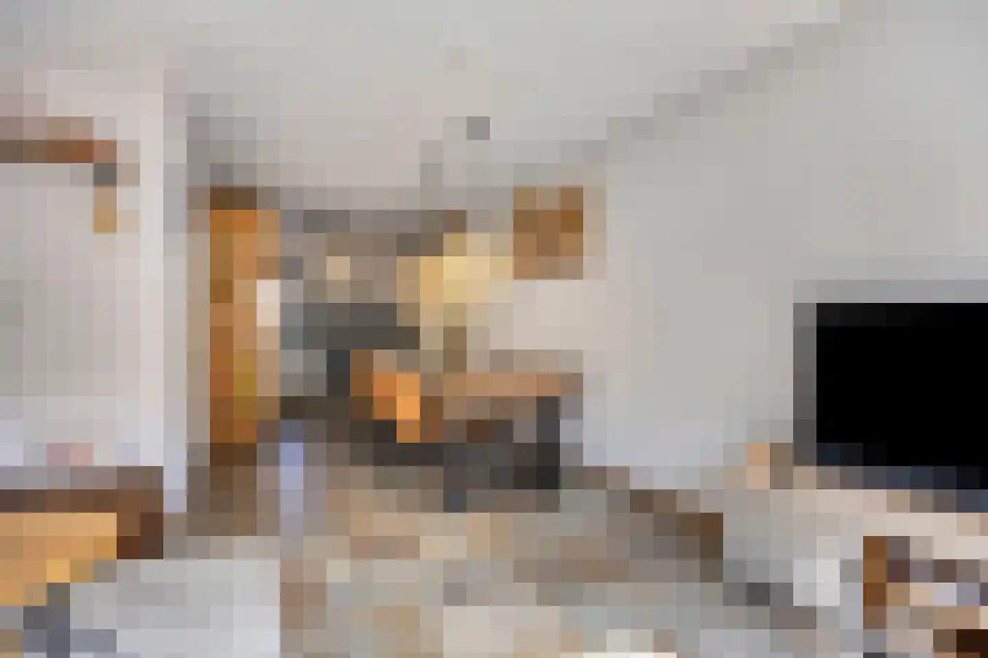 Roggeakker 192 Zoetermeer thumbnail 12