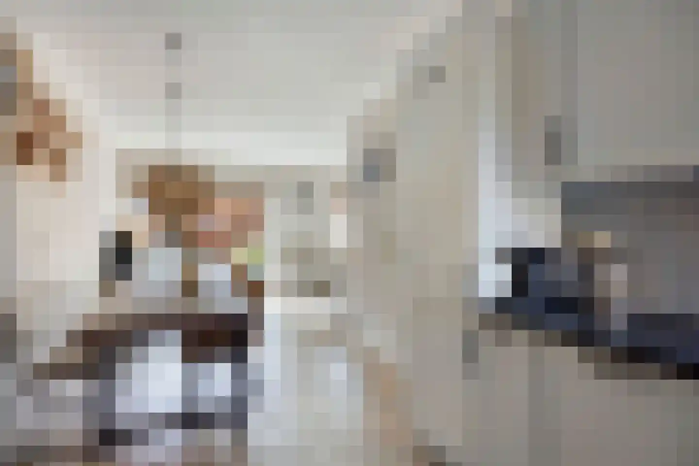 Roggeakker 192 Zoetermeer thumbnail 15