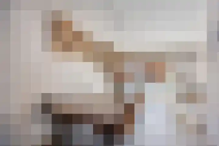 Roggeakker 192 Zoetermeer thumbnail 16