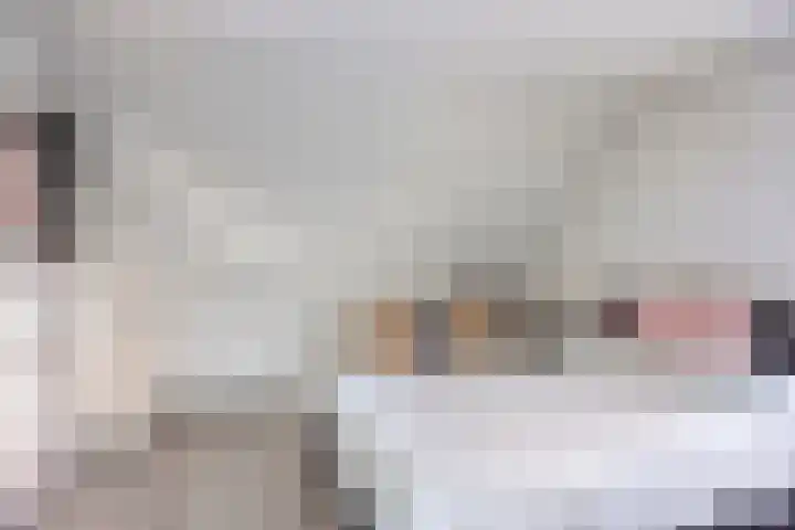 Roggeakker 192 Zoetermeer thumbnail 29