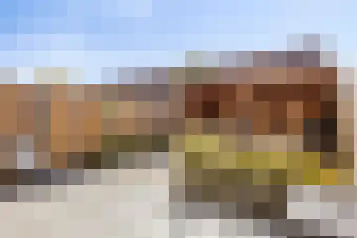 Roggeakker 192 Zoetermeer thumbnail 32