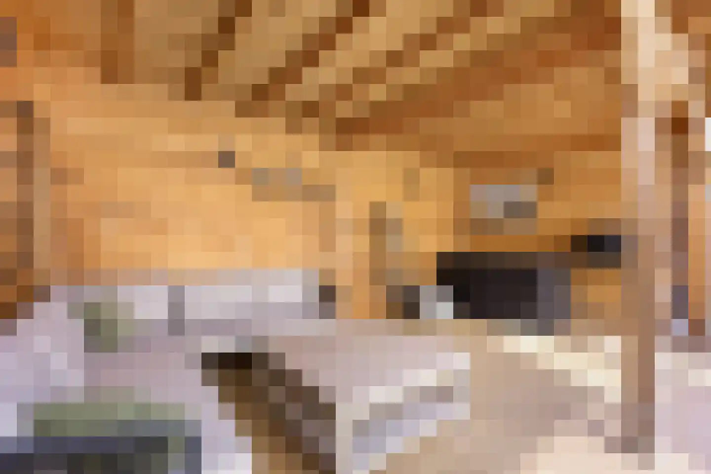 Roggeakker 192 Zoetermeer thumbnail 34