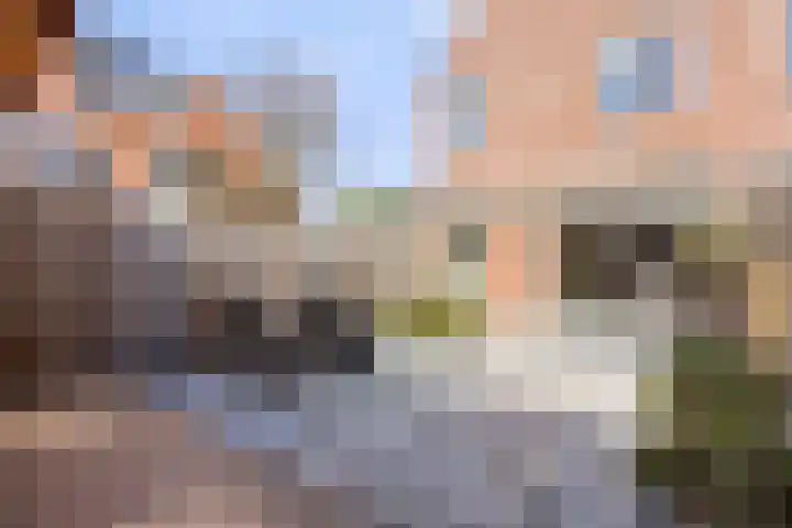 Roggeakker 192 Zoetermeer thumbnail 35