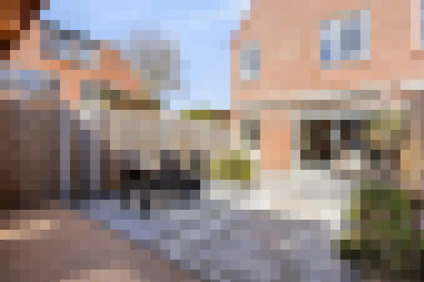 Roggeakker 192 Zoetermeer thumbnail 35