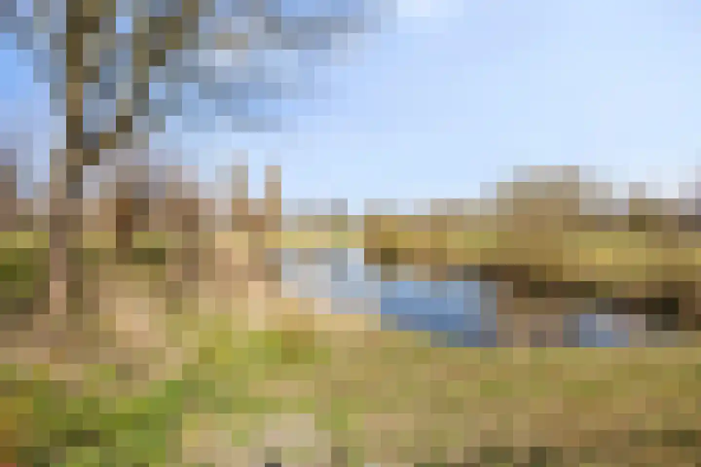 Roggeakker 192 Zoetermeer thumbnail 39