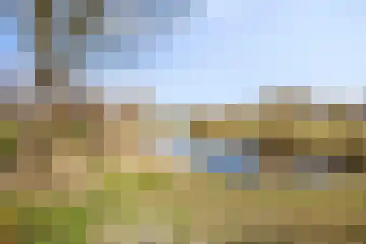 Roggeakker 192 Zoetermeer thumbnail 39