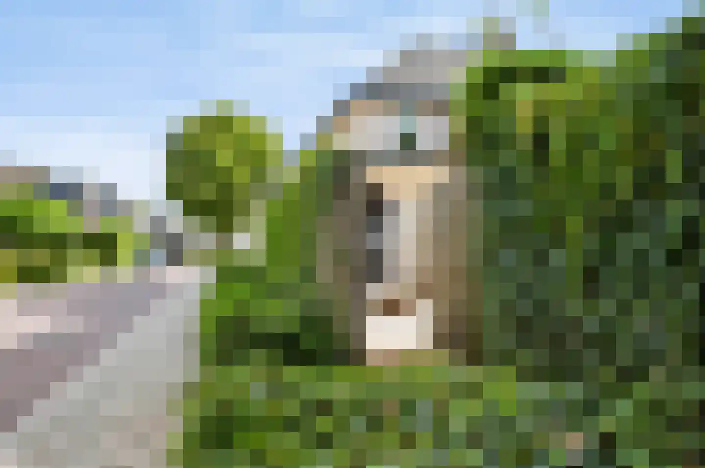 Roggeakker 26 Barneveld thumbnail 44