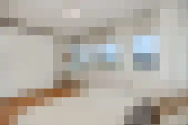 Roggeakker 29 's-Hertogenbosch thumbnail 14