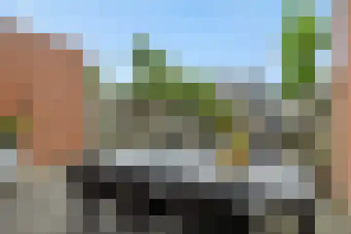 Roggeakker 29 's-Hertogenbosch thumbnail 21