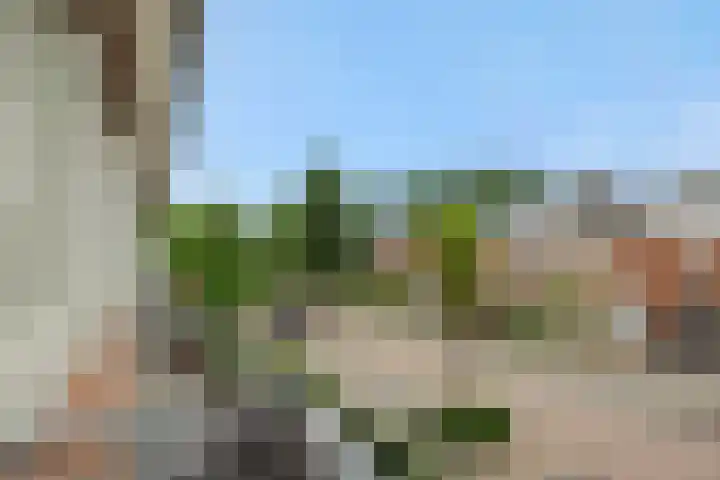 Roggeakker 29 's-Hertogenbosch thumbnail 26