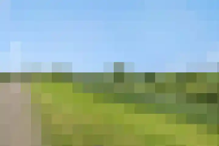 Roggeakker 29 's-Hertogenbosch thumbnail 28