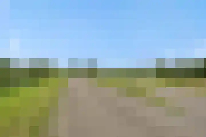 Roggeakker 29 's-Hertogenbosch thumbnail 29